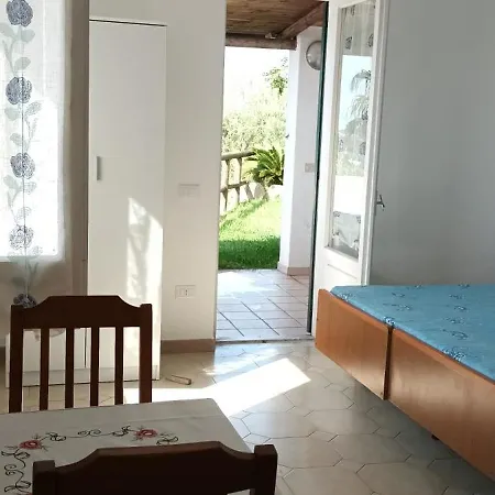 Appartement L'ulivo - Mini Con Terrazzo E Solarium Privato, Ischia Forio di Ischia