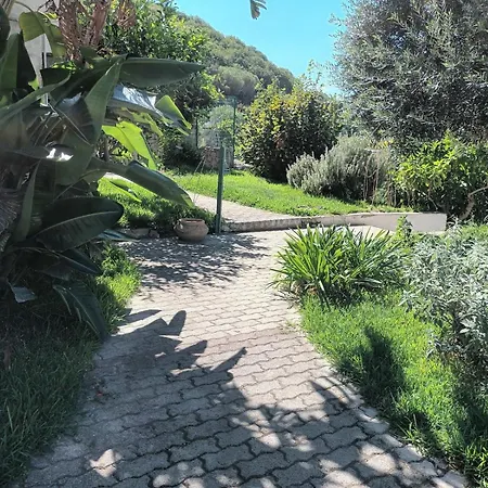 Sunset Terrace L' Ulivo, Forio D' Ischia