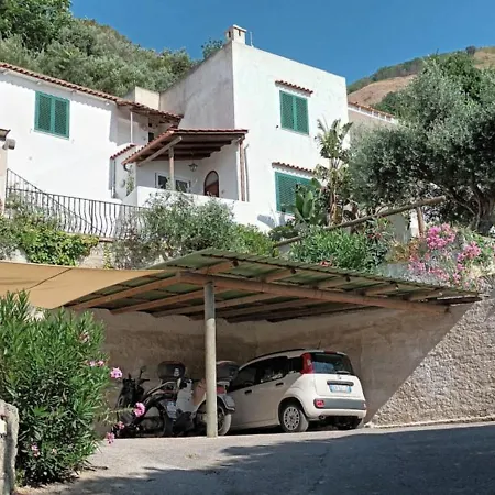 Monolocale Con Terrazza, Solarium E Vista Mare Al Tramonto, Forio D'ischia -l'ulivo * Forio di Ischia