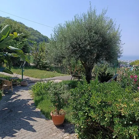 Sunset Terrace L' Ulivo, Forio D' Ischia *