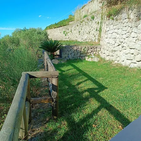 L'ulivo - Mini Con Terrazzo E Solarium Privato, Ischia Appartement Forio di Ischia