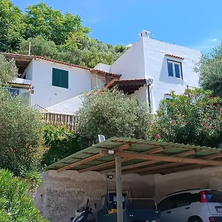Appartement L'ulivo - Mini Con Terrazzo E Solarium Privato, Ischia Forio di Ischia