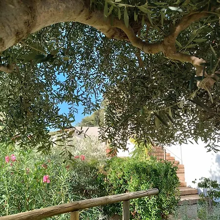 L'ulivo - Mini Con Terrazzo E Solarium Privato, Ischia *