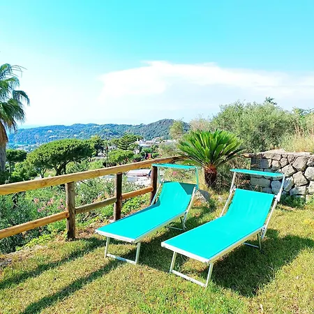 Sunset Terrace L' Ulivo, Forio D' Ischia * Forio di Ischia
