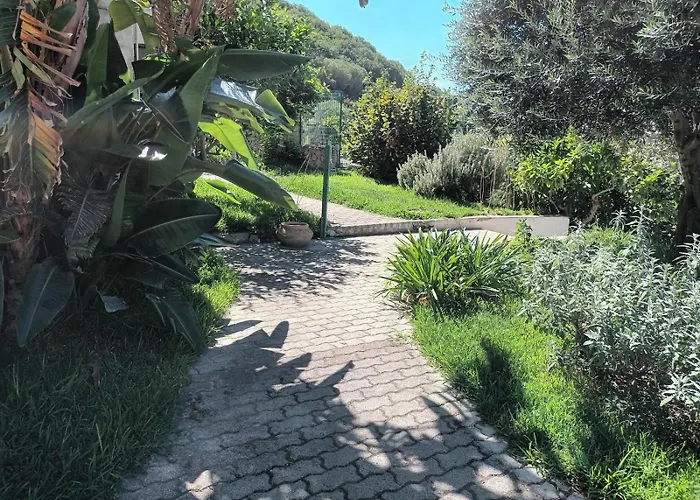 L'Ulivo - Monolocale Con Terrazza E Solarium Vista Mare A Forio D'Ischia