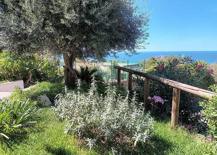 Διαμέρισμα L'Ulivo - Monolocale Con Terrazza E Solarium Vista Mare A Forio D'Ischia