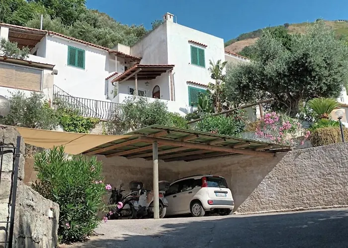 L'Ulivo - Monolocale Con Terrazza E Solarium Vista Mare A Forio D'Ischia * Forio di Ischia