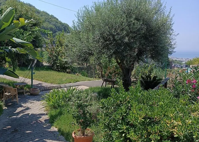 L'Ulivo - Monolocale Con Terrazza E Solarium Vista Mare A Forio D'Ischia *