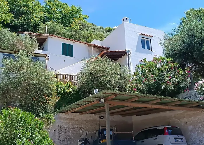 Διαμέρισμα L'Ulivo - Monolocale Con Terrazza E Solarium Vista Mare A Forio D'Ischia Forio di Ischia